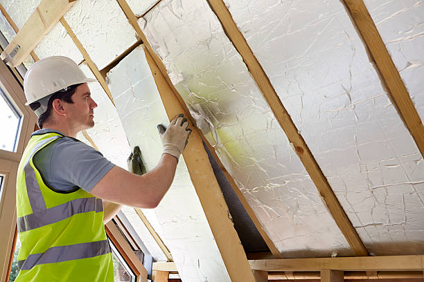 Best Fiberglass Insulation in Montrose, MI